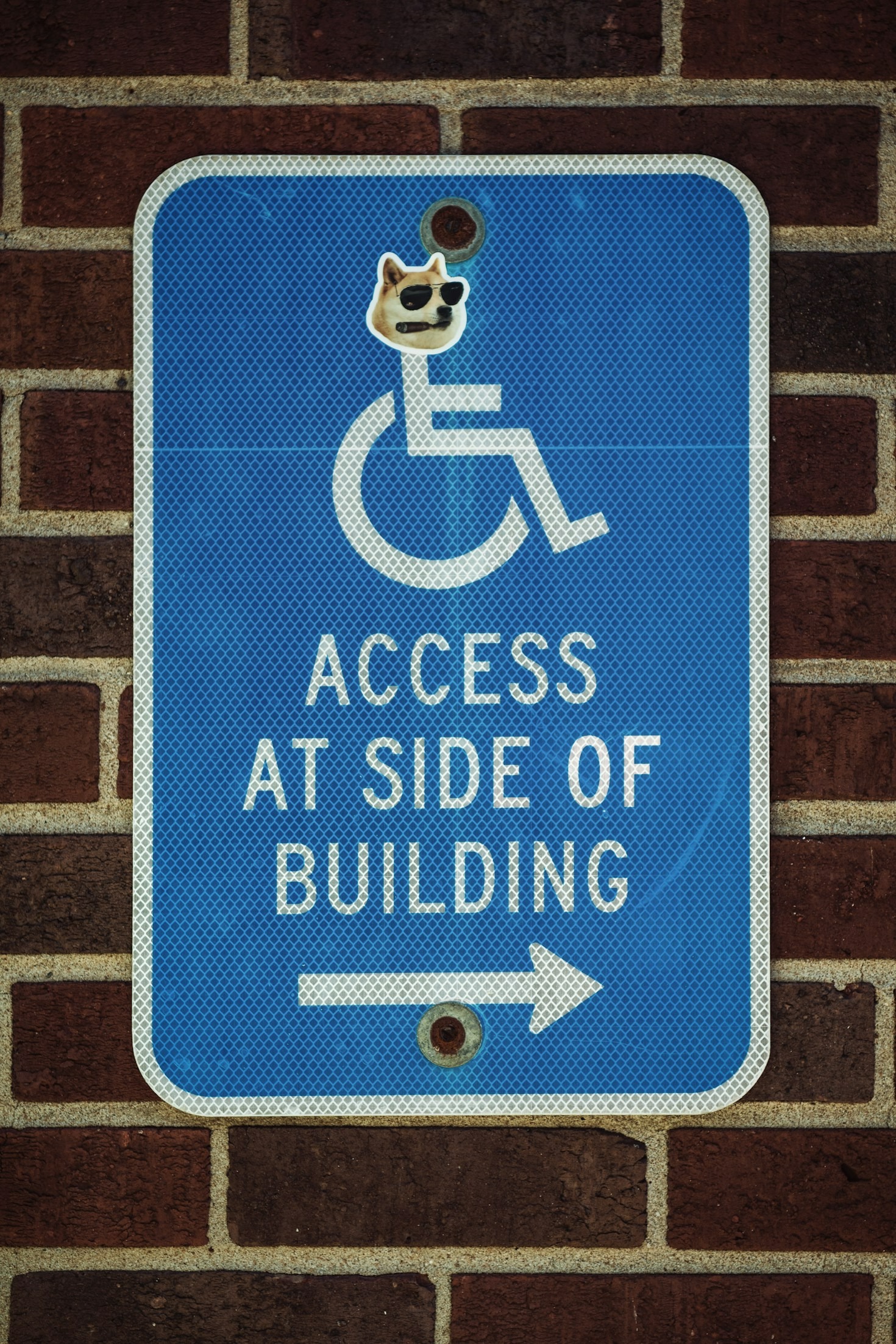 How Disability Pride Strengthens Communities