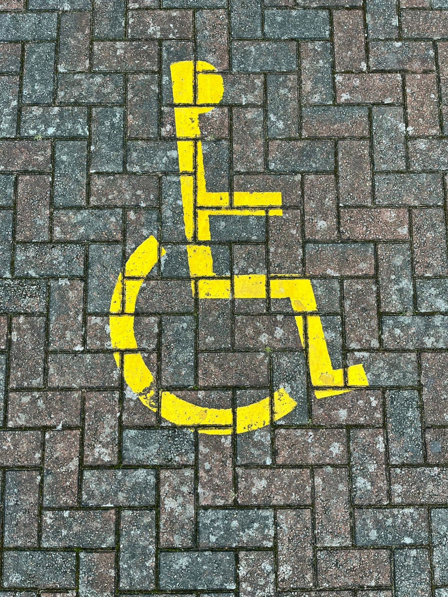 Collective Liberation Through the Lens of Disability Advocacy